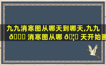 九九消寒图从哪天到哪天,九九 🐋 消寒图从哪 🦁 天开始画2020年